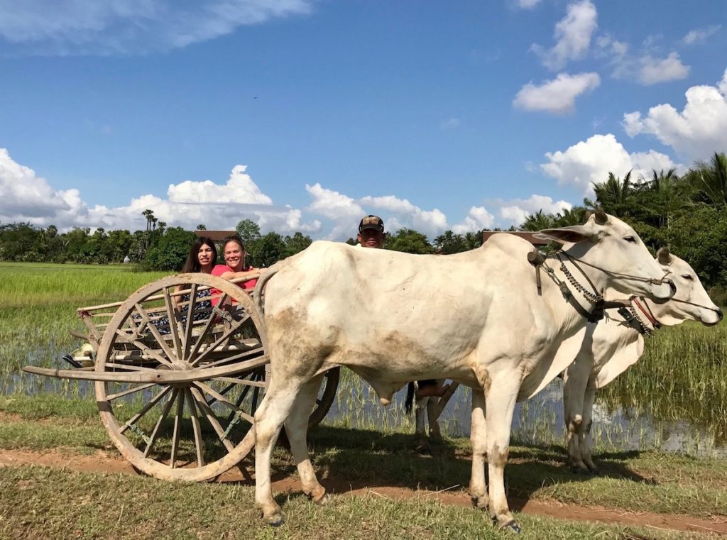 Cambodia Oxcart