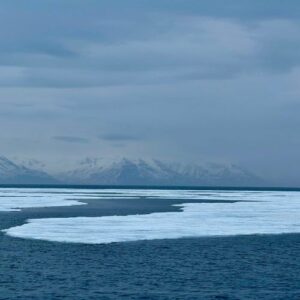 A view of the Arctic landscape.