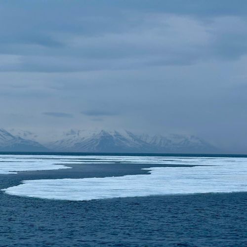 A view of the Arctic landscape.