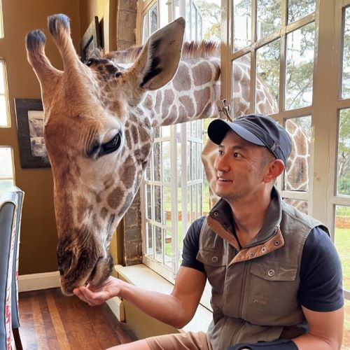 A traveler feeding a giraffe at Giraffe Manor in Naiobi, Kenya