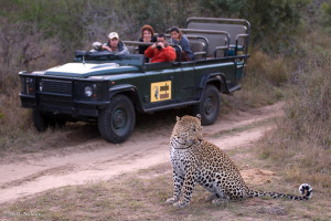 Courtesy of MalaMala Main Camp