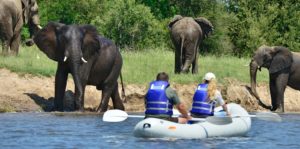 On a canoe ride at Victoria Falls River Lodge
