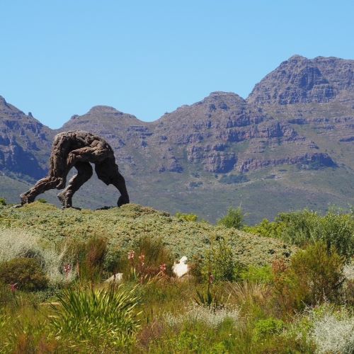 A sculpture in the Dylan Lewis Sculpture Garden in South Africa's Cape Winelands.