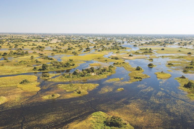 The Life-Giving Waters of the Okavango Delta - Travel Beyond