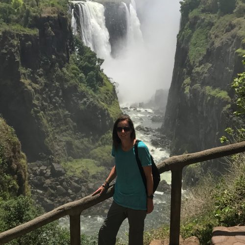 A woman standing near Victoria Falls, on the border of Zimbabwe and Zambia