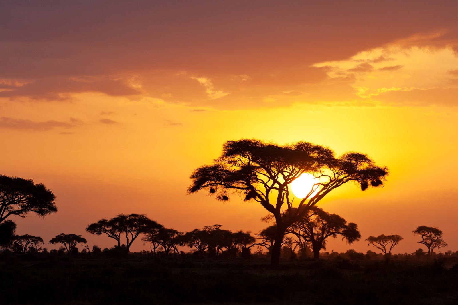 Sunset in Kenya.