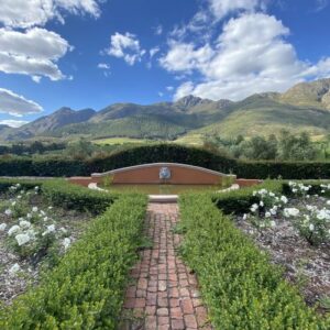 South African winelands.