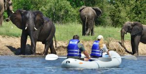 Rafting on the Zambezi near elephants