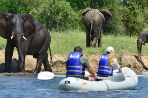 14 Days: Zimbabwe Safari & Culture