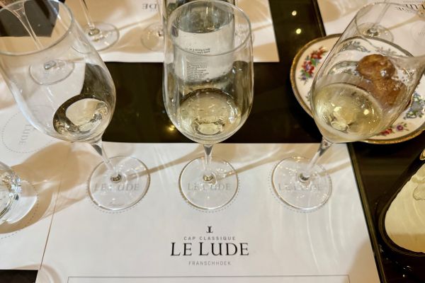 Wine tasting at Le Lude.