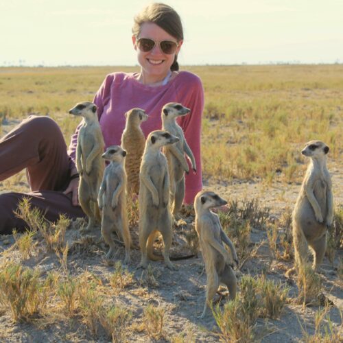 A woman surrounded by meerkats.