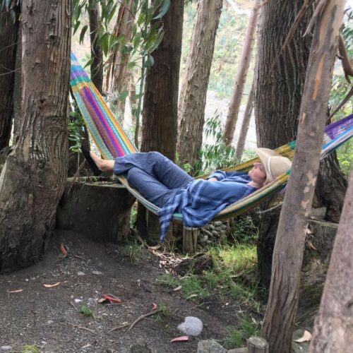 A woman lying in a hammock between two trees.