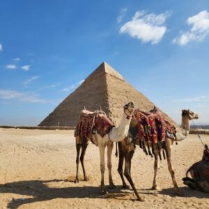 Egyptian pyramid with two camels in front