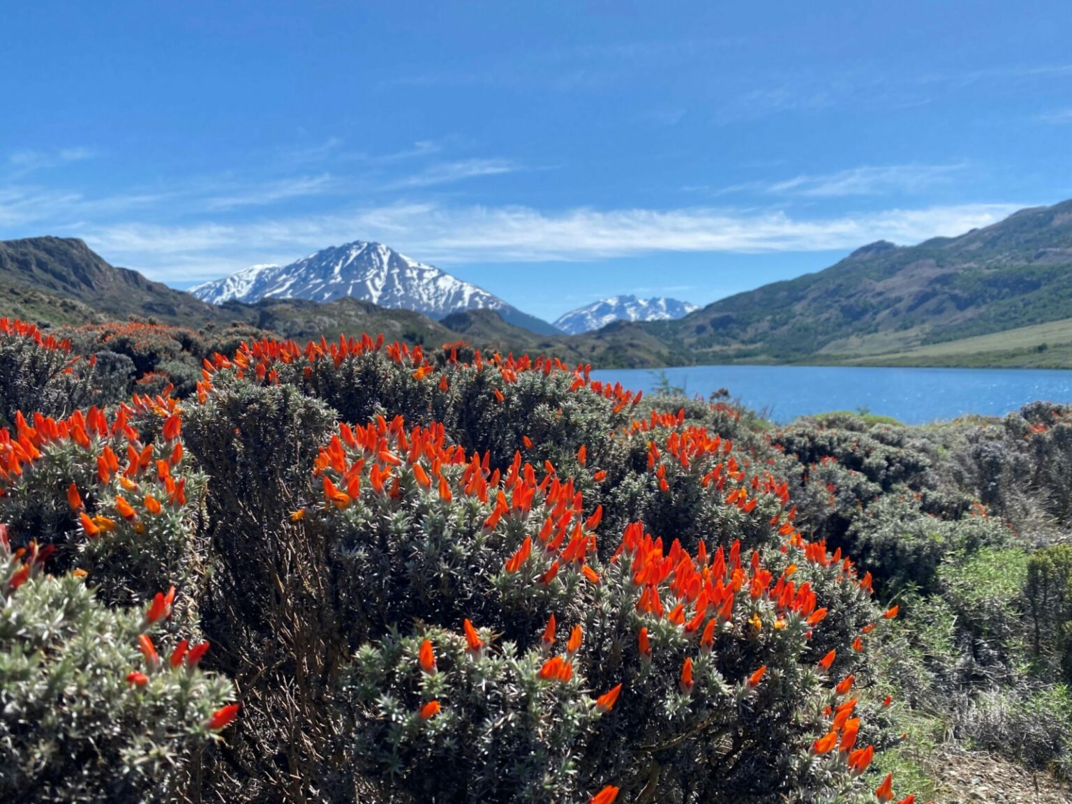 Patagonia National Park: The Story of One Couple’s Commitment to