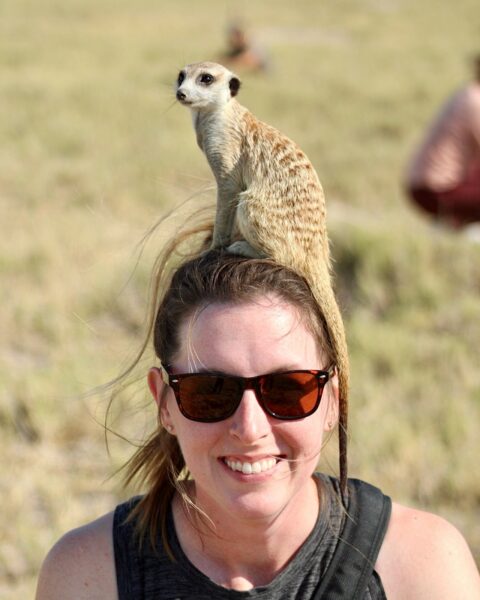 At Jack’s Camp in Botswana, I had the opportunity to visit habituated meerkats. I had fallen in love with meerkats during a previous stay at Tswalu in South Africa and I couldn’t wait to be amongst them again. You can’t predict if the Meerkats will actually climb on you, but I was very happy when they did! One of my favorite safari experiences to date!