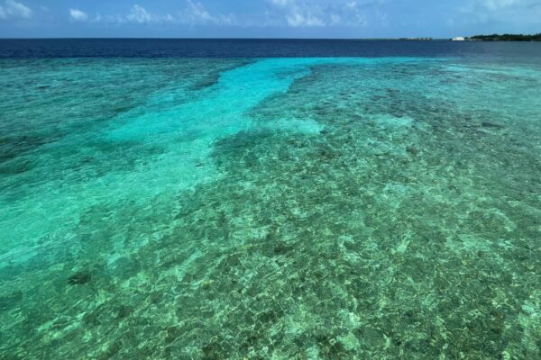 The crystal clear water at Patina Maldives resort.