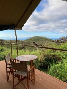 The view from Galapagos Safari Camp.