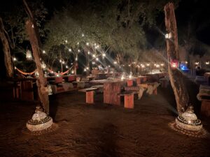 Outdoor dining in the Brazilian Pantanal