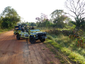 A game drive in the Pantanal in Brazil
