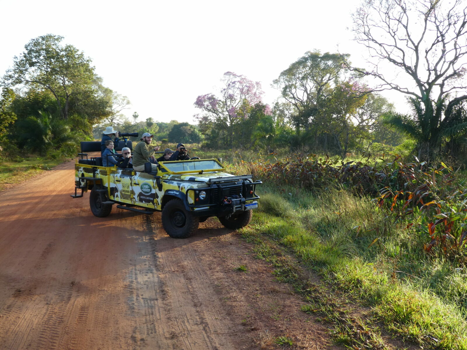 A game drive in the Pantanal in Brazil
