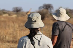 Two people looking at a giraffe in Ruaha National Park in Tanzania