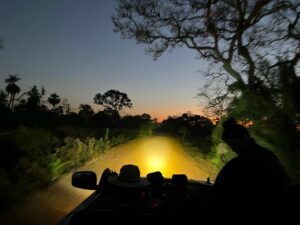 A nighttime game drive in the Pantanal in Brazil