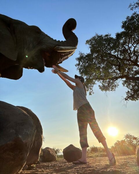 Alexis feeding the elephant at Jabulani in South Africa