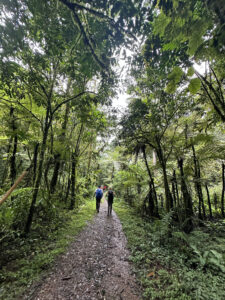 A hike in Tanzania