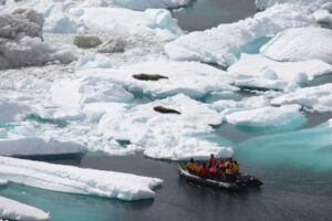 A Zodiac in Antarctica