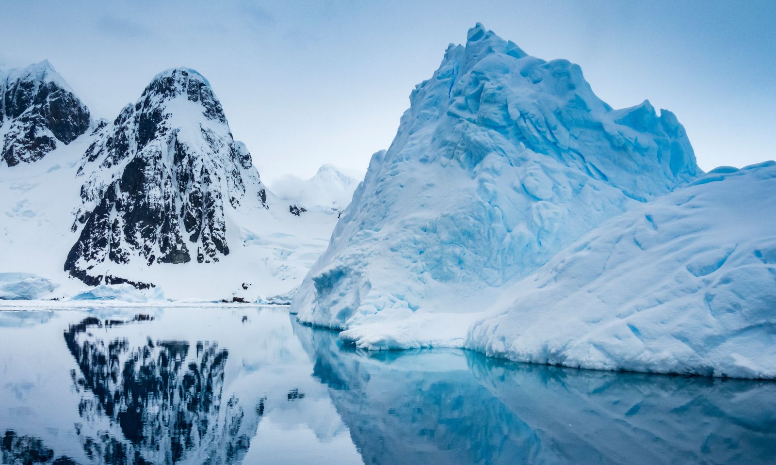 Water and iceberg in Antarctica.