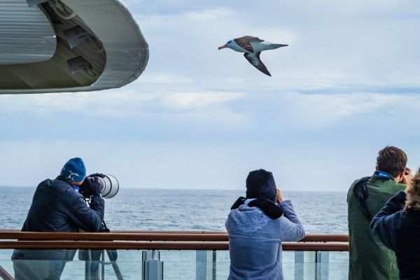 A view while crossing the Drake Passage on the National Geographic Endurance.