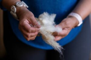 A woman's hands holding sheep's wool.