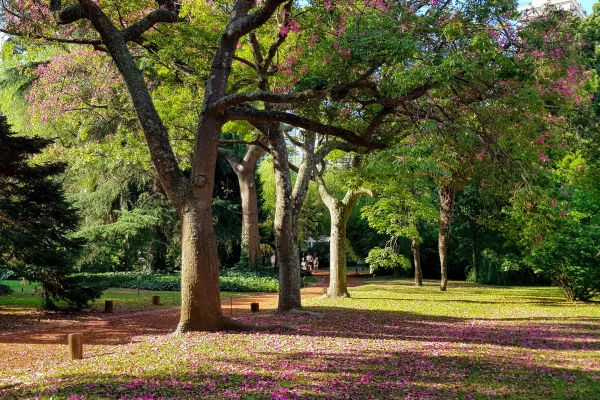 A park in Buenos Aires, Argentina