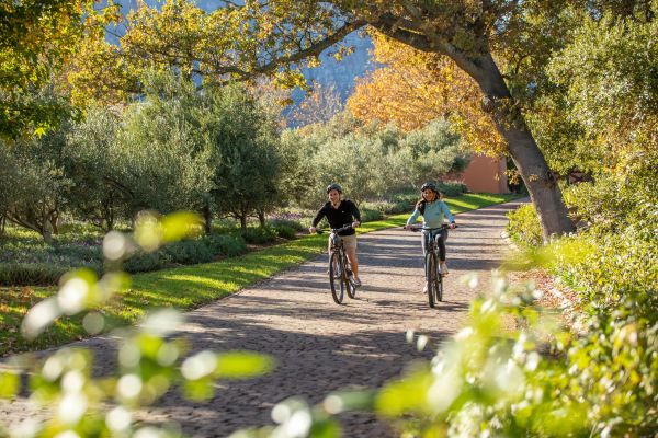 Biking in the Cape Winelands.