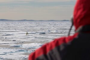 Person looking at a polar bear in the distance.