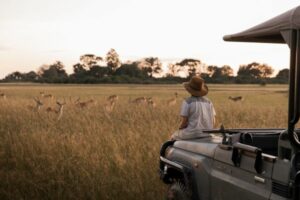 Person on a safari vehicle looking at wildlife