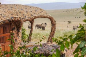 Lewa house with elephants in the background