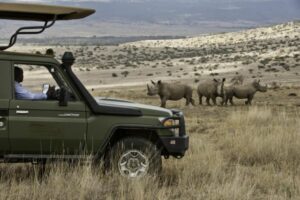 Safari vehicle with animals in the background