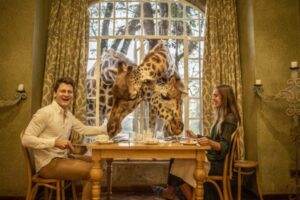 People eating with giraffes