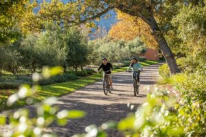 Couple biking through the winelands