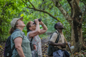 Kibale Lodge Trek