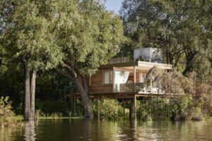 Exterior view of the Starbed Treehouse Suite at Victoria Falls River Lodge