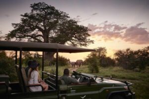 Game drive with elephants in the background