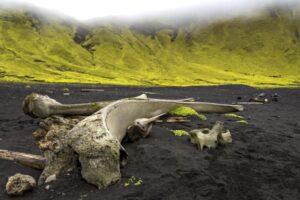 Jan Mayen Volcano