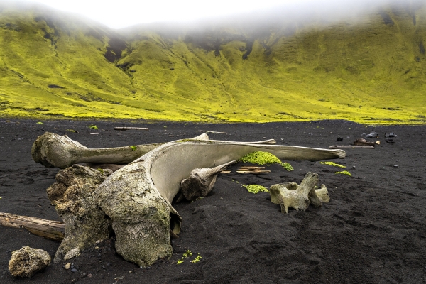 Jan Mayen Volcano