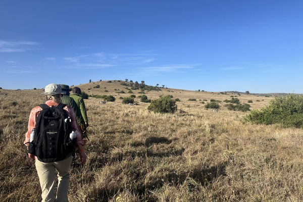 Borana Conservancy trekking