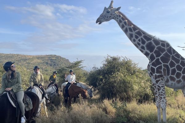 People on horses next to a giraffe.