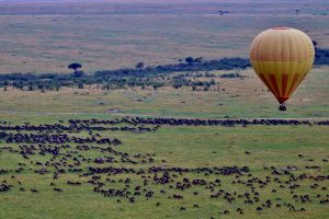 Hot air ballooning over the The Great Migration herds