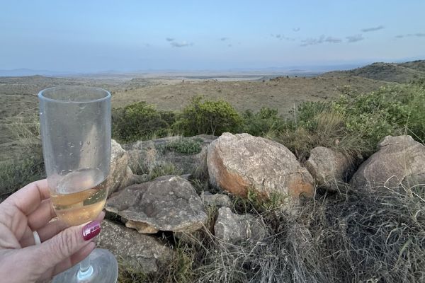 Champagne toast at Borana Conservancy