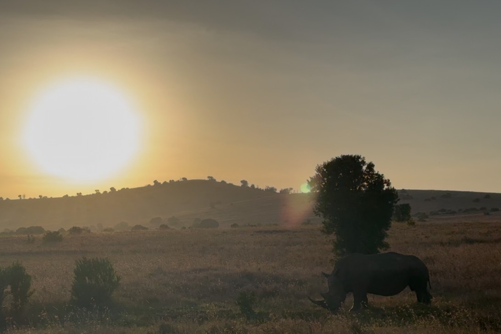 Sunrise in Africa